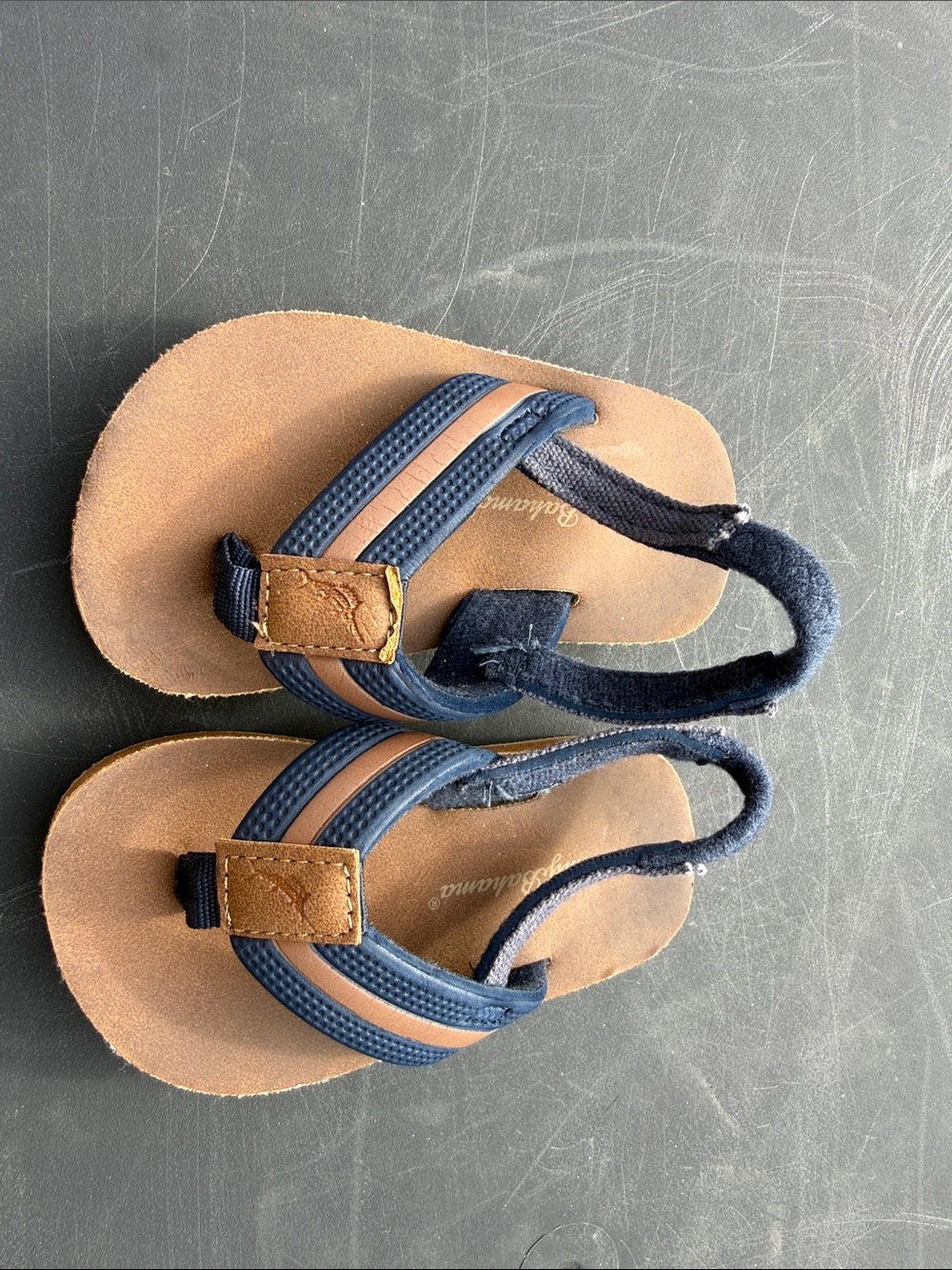Tommy Bahama Navy and Tan Toddler Back-Strap Flip Sandals